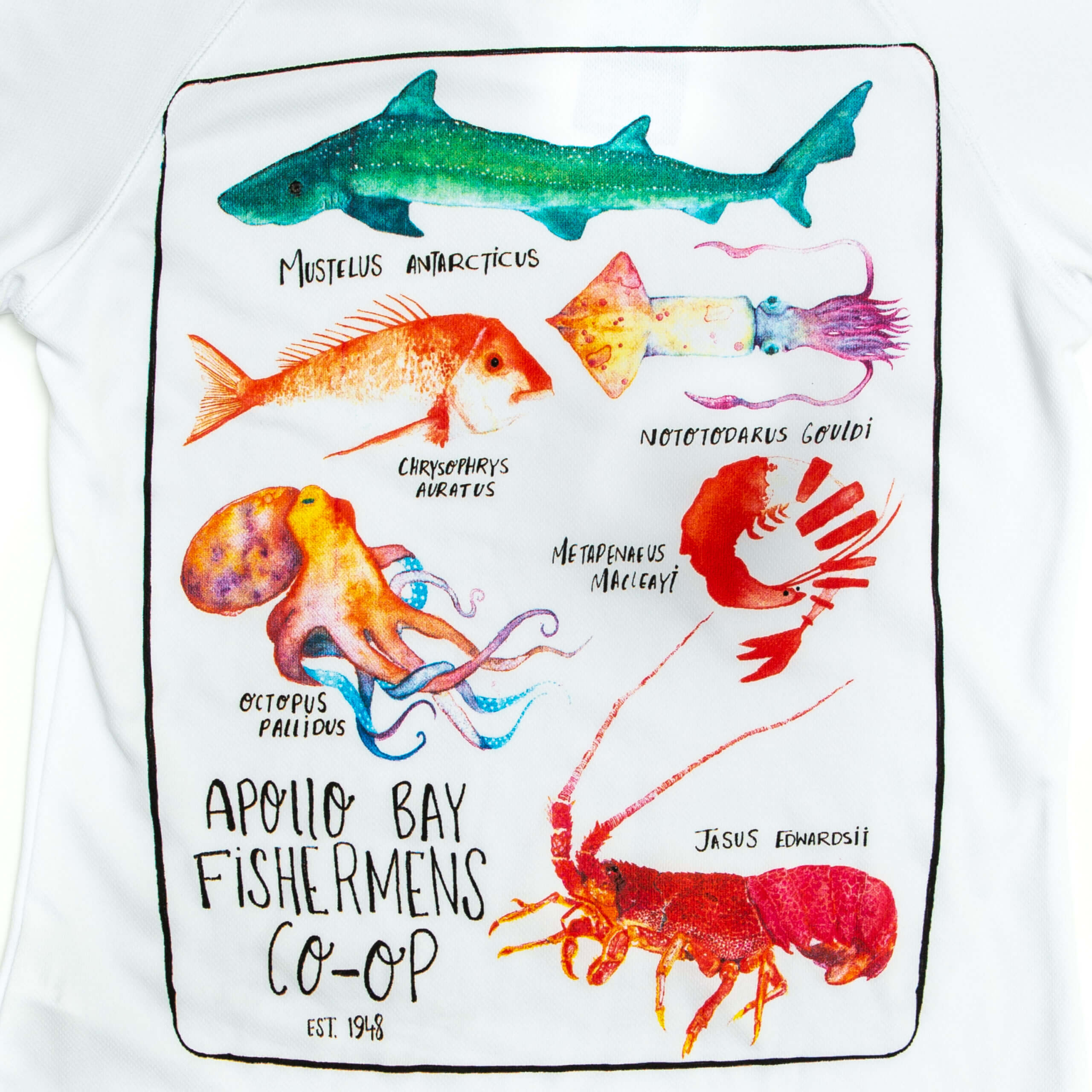 Custom Screen Printing  T-Shirt Screen Printing  Doree